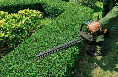 Affordable landscaping services near you in Inlet Beach, FL by Campbell's Lawn Service