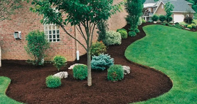 Local lawn care service experts serving Inlet Beach, FL - Campbell's Lawn Service
