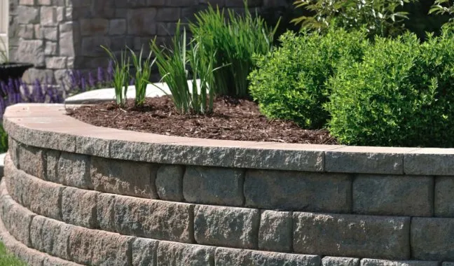 Affordable landscape design for year-round maintenance across Inlet Beach, FL - Campbell's Lawn Service