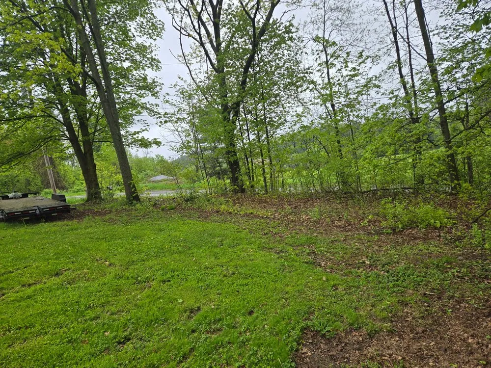 Affordable landscape design in Elmira, NY - Campbell’s Lawncare