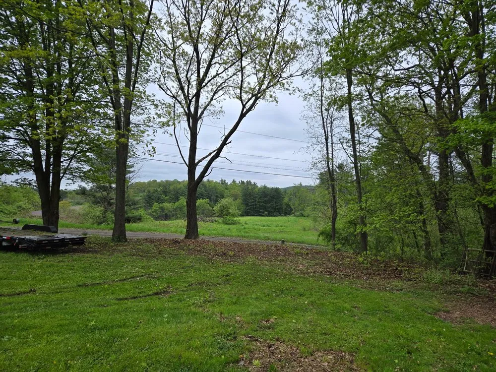 Affordable outdoor landscaping in Elmira, NY by Campbell’s Lawncare