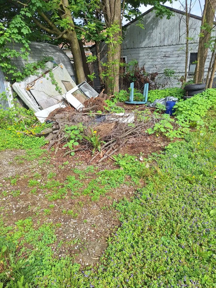 Expert residential landscaping experts serving Elmira, NY - Campbell’s Lawncare