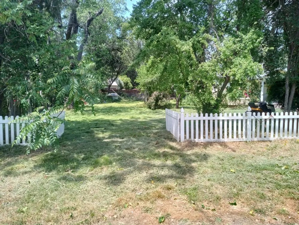 Affordable lawn mowing service with custom design in Redding, CA by Campbell's Maintenance