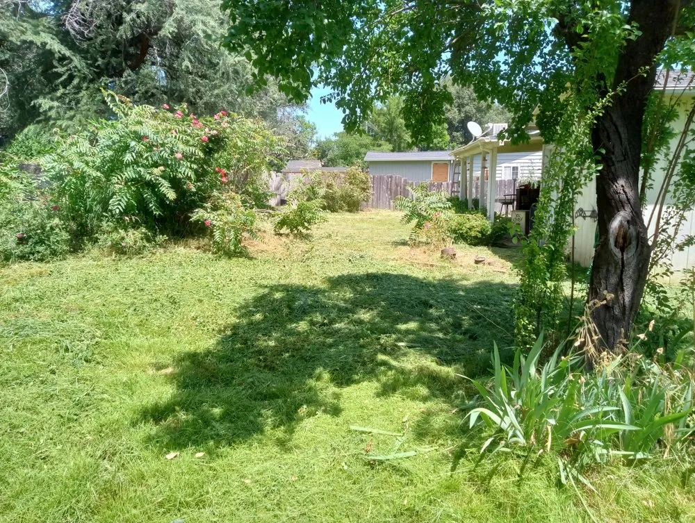 Top-rated lawn care service in Redding, CA by Campbell's Maintenance