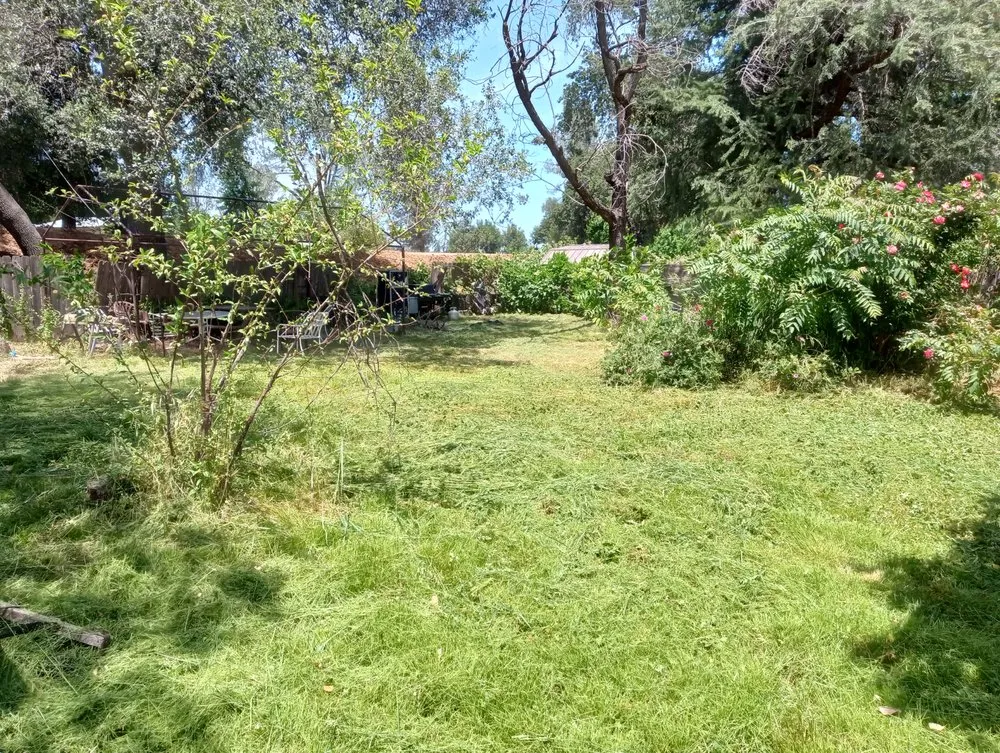 Trusted landscape design in Redding, CA - Campbell's Maintenance