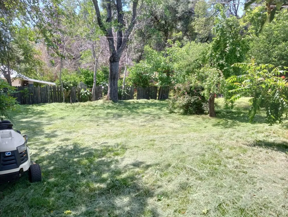 Reliable yard cleanup service near you across Redding, CA - Campbell's Maintenance