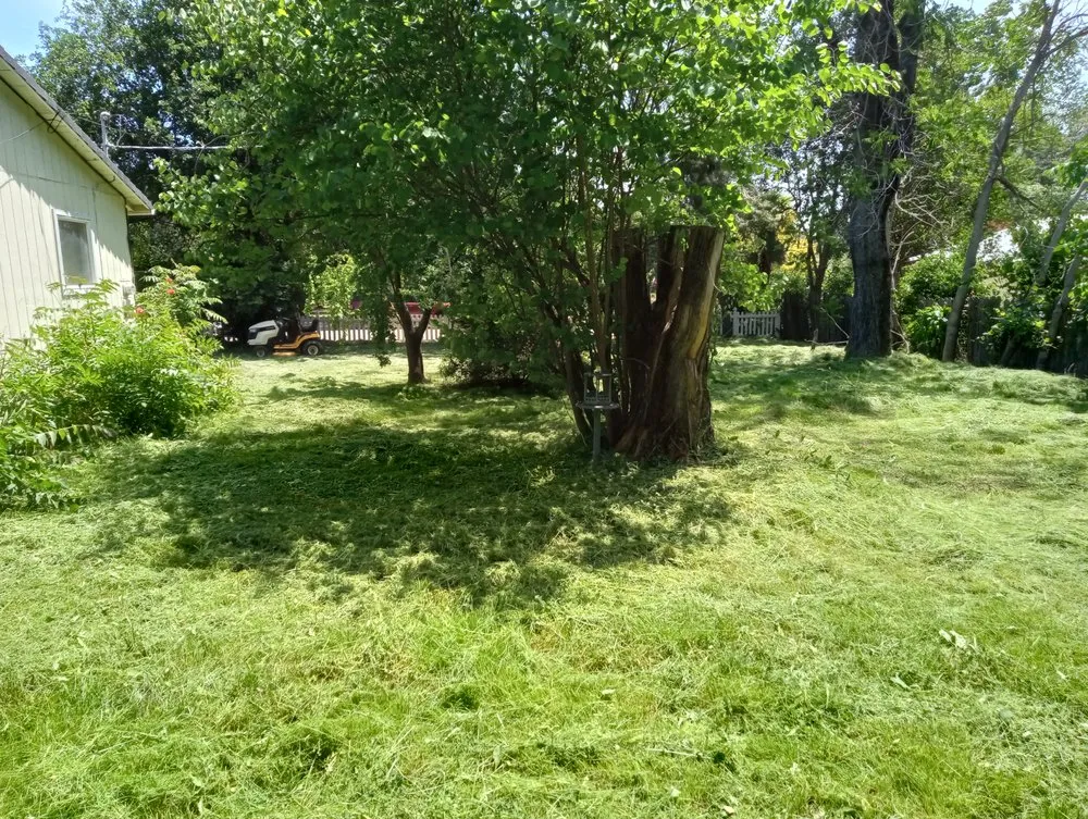 Top-rated lawn care service in Redding, CA - Campbell's Maintenance