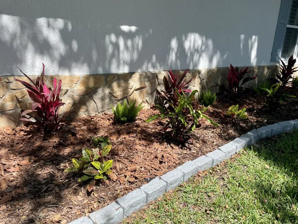 Expert landscaping services experts serving Clearwater, FL - Campbells Noble Landscaping