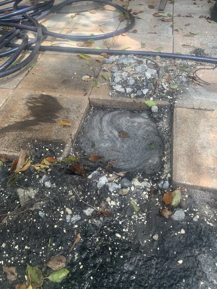 Affordable lawn mowing service for outdoor upgrades across Clearwater, FL - Campbells Noble Landscaping