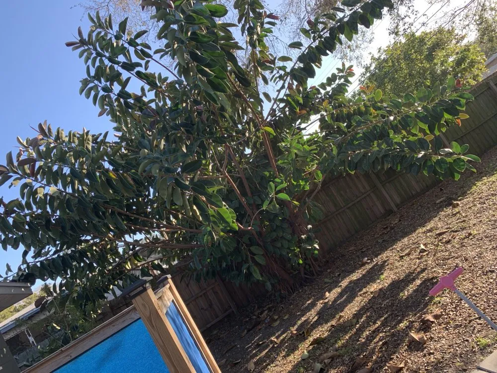 Trusted outdoor landscaping for homes across Clearwater, FL - Campbells Noble Landscaping