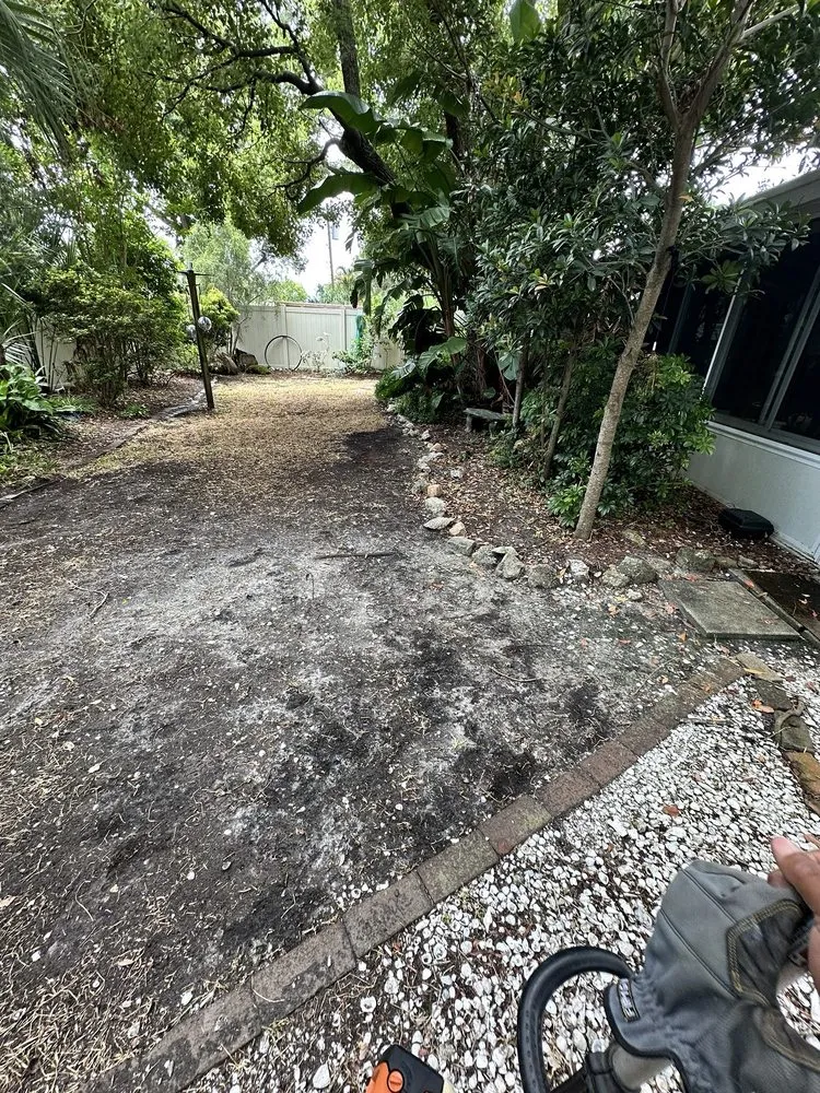 Local landscape installation in Clearwater, FL by Campbells Noble Landscaping