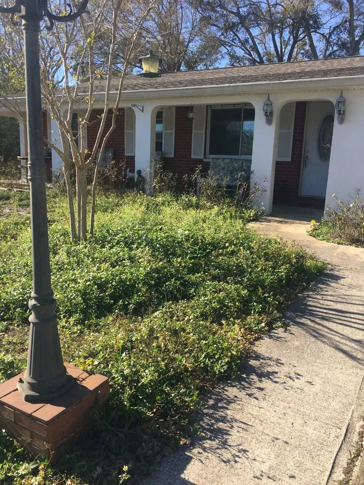 Top-rated lawn mowing service for beautiful yards in Clearwater, FL by Campbells Noble Landscaping