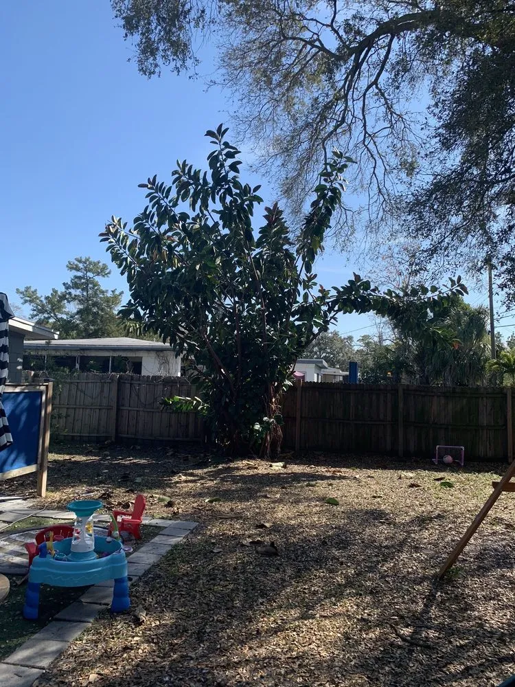 Expert lawn mowing service for residential properties across Clearwater, FL - Campbells Noble Landscaping