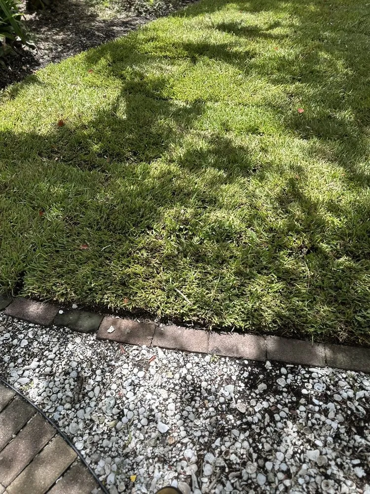Trusted lawn care service experts serving Clearwater, FL - Campbells Noble Landscaping