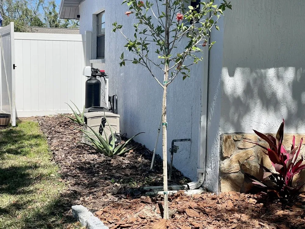 Top-rated landscape installation with custom design across Clearwater, FL - Campbells Noble Landscaping