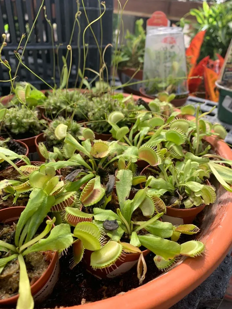 Top-rated yard maintenance for homes across Lincoln, NE - Campbell's Nurseries & Garden Centers