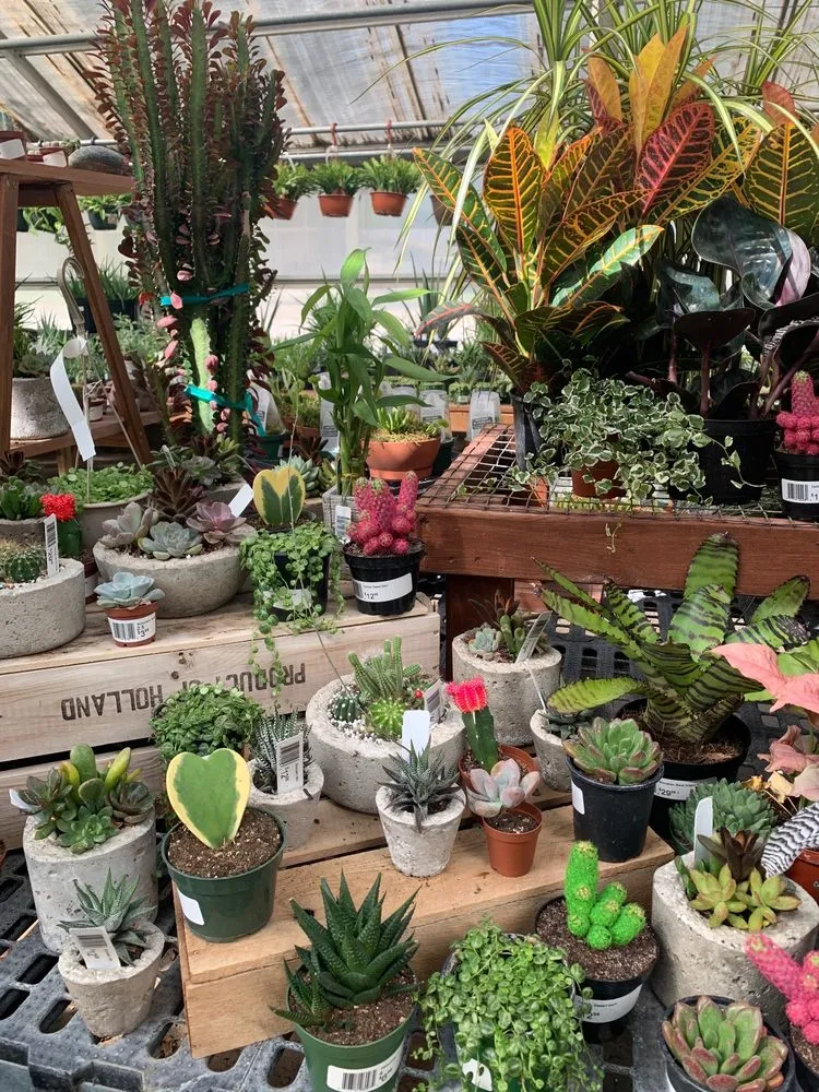 Professional yard maintenance for year-round maintenance in Lincoln, NE by Campbell's Nurseries & Garden Centers