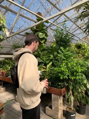 Campbell's Nurseries & Garden Centers Logo