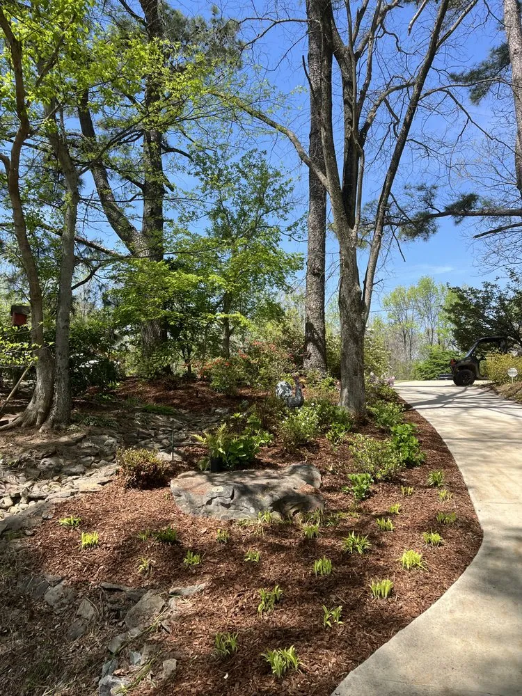 Professional landscape design in Newbern, TN - Campbell’s Pressure Washing