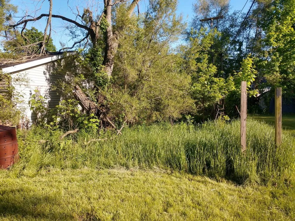 Professional lawn care service in Pinckney, MI - Campbell's Property Services