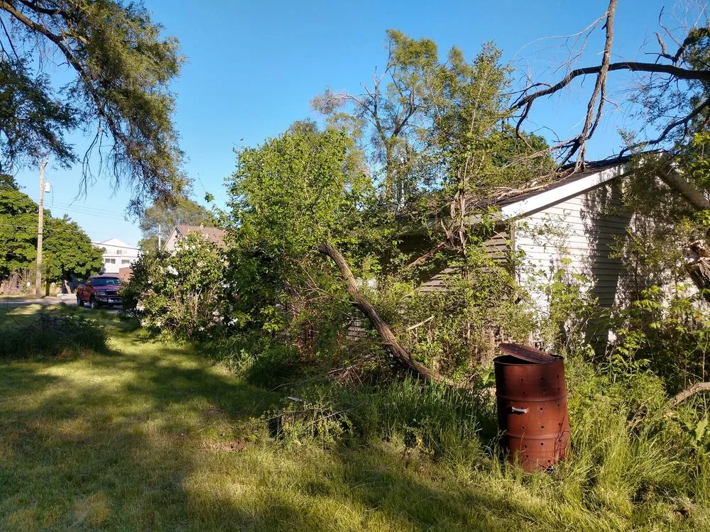 Top-rated landscape design in Pinckney, MI - Campbell's Property Services