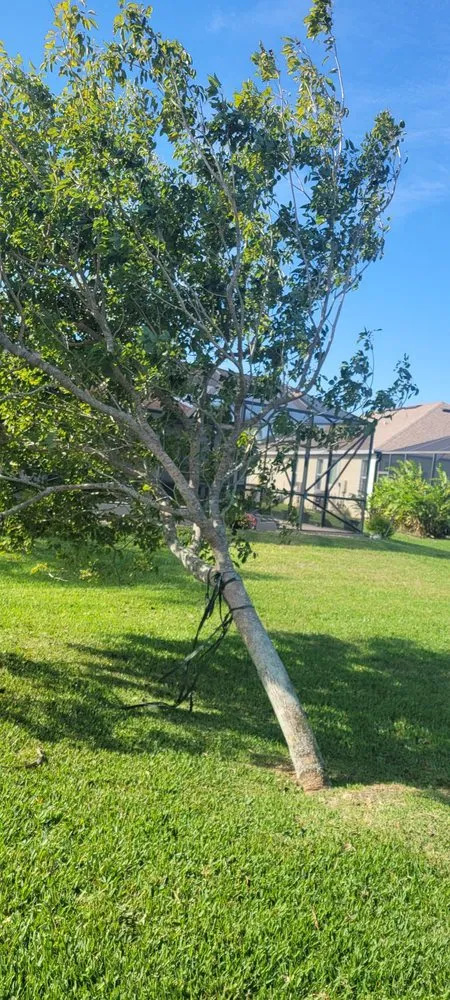 Affordable garden landscaping in Melbourne, FL by Campbell's Quality Services