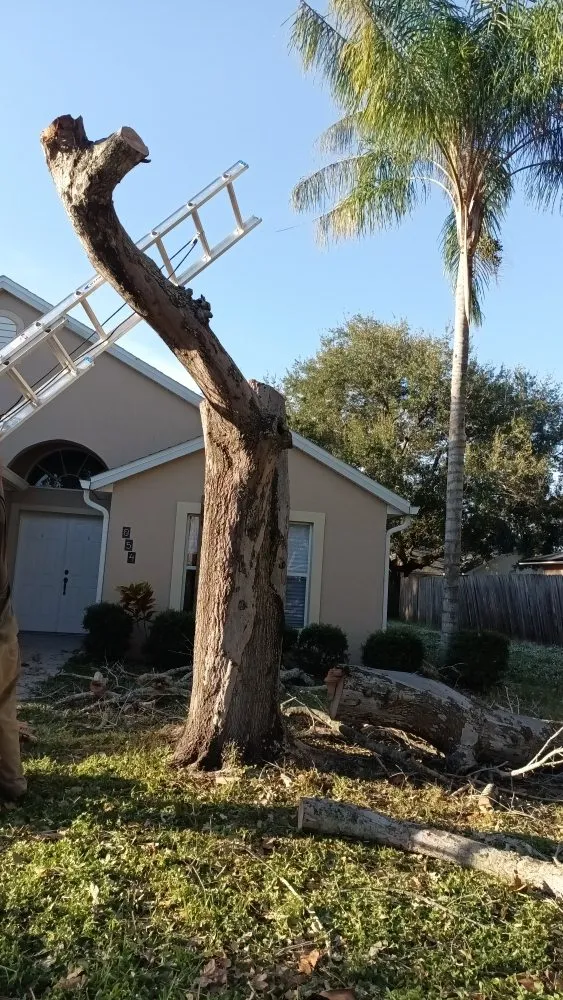 Trusted lawn mowing service with custom design across Melbourne, FL - Campbell's Quality Services