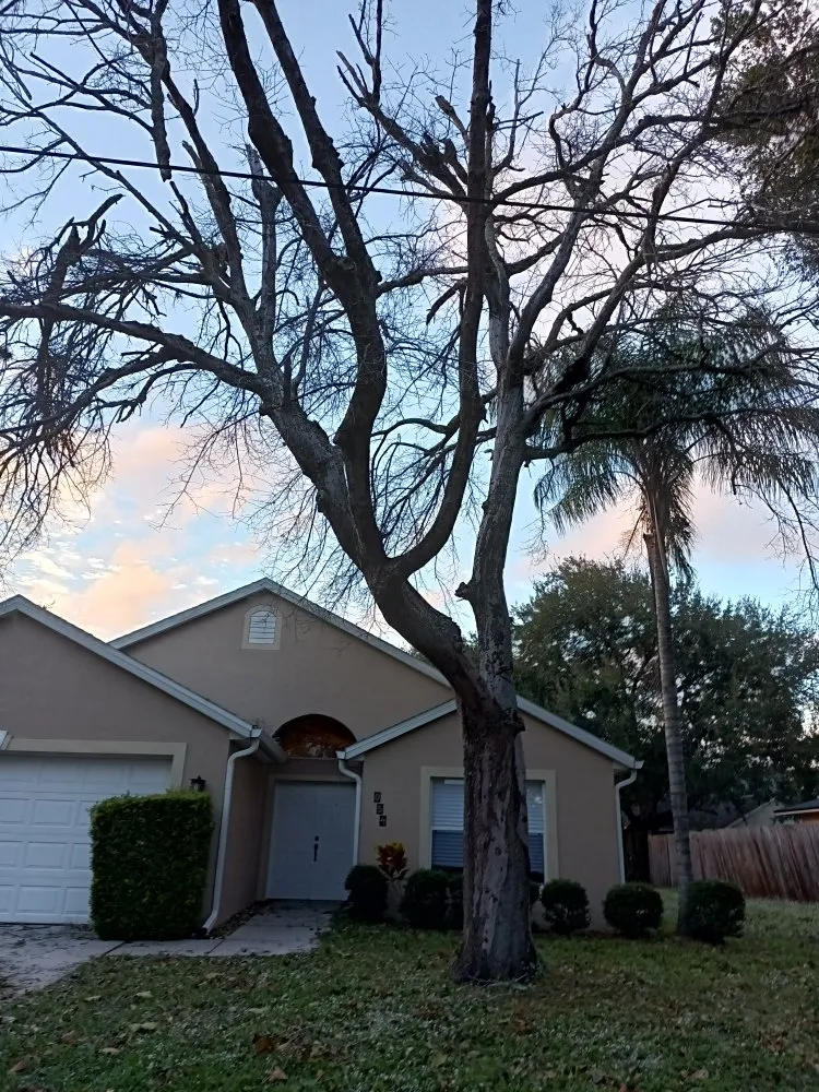 Professional outdoor landscaping in Melbourne, FL - Campbell's Quality Services