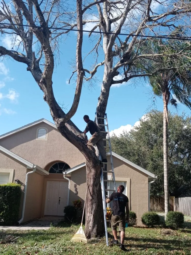 Local residential landscaping for year-round maintenance across Melbourne, FL - Campbell's Quality Services