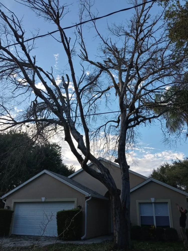 Trusted landscape design with custom design across Melbourne, FL - Campbell's Quality Services