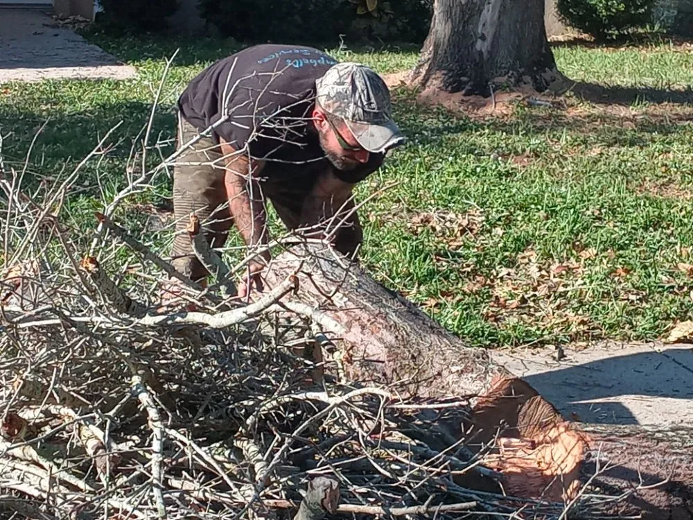 Professional landscape design for outdoor upgrades across Melbourne, FL - Campbell's Quality Services