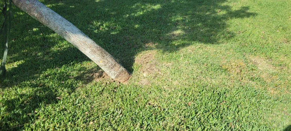 Trusted yard cleanup service experts serving Melbourne, FL - Campbell's Quality Services