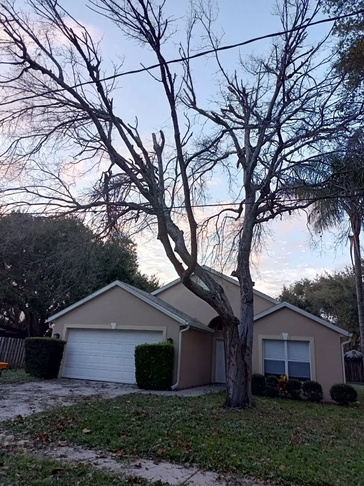 Top-rated residential landscaping in Melbourne, FL by Campbell's Quality Services