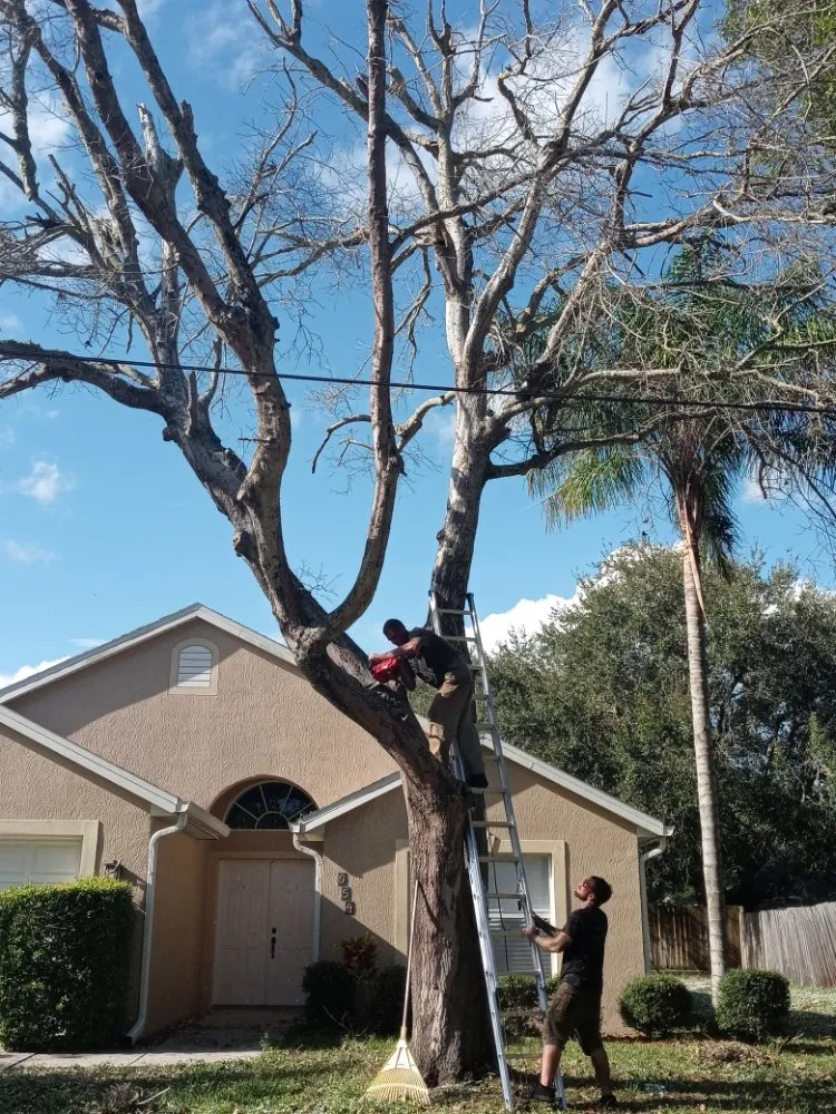 Reliable lawn mowing service with custom design across Melbourne, FL - Campbell's Quality Services