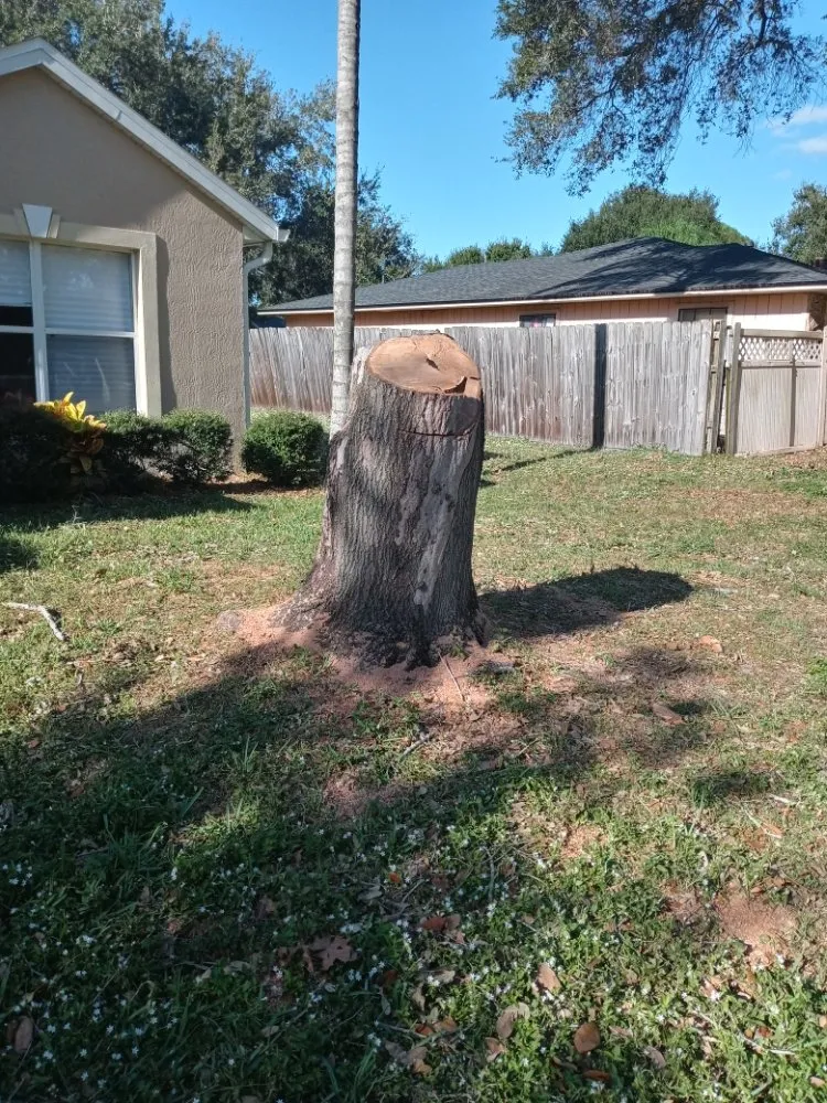 Expert outdoor landscaping in Melbourne, FL by Campbell's Quality Services