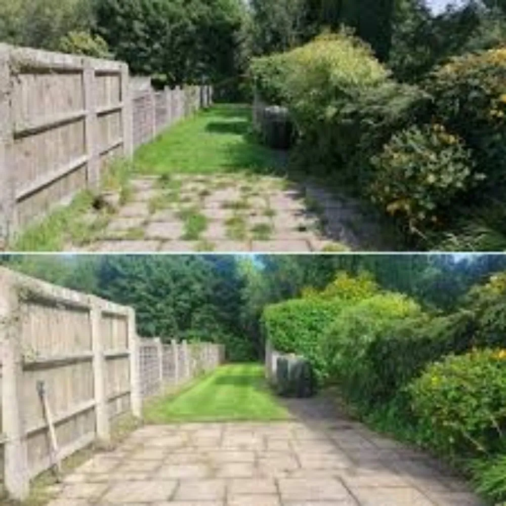 Local landscape installation experts serving Melbourne, FL - Campbell's Quality Services