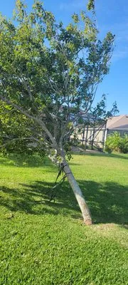 Campbell's Quality Services Logo