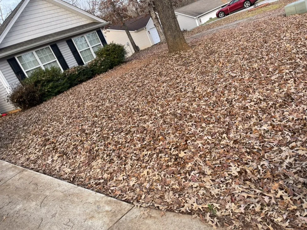 Local yard maintenance experts serving Spartanburg, SC - Campbell’s Removal and Lawncare