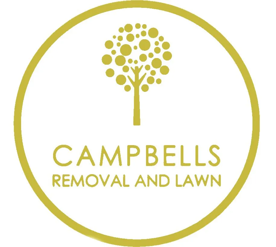 Top-rated lawn mowing service in Spartanburg, SC - Campbell’s Removal and Lawncare