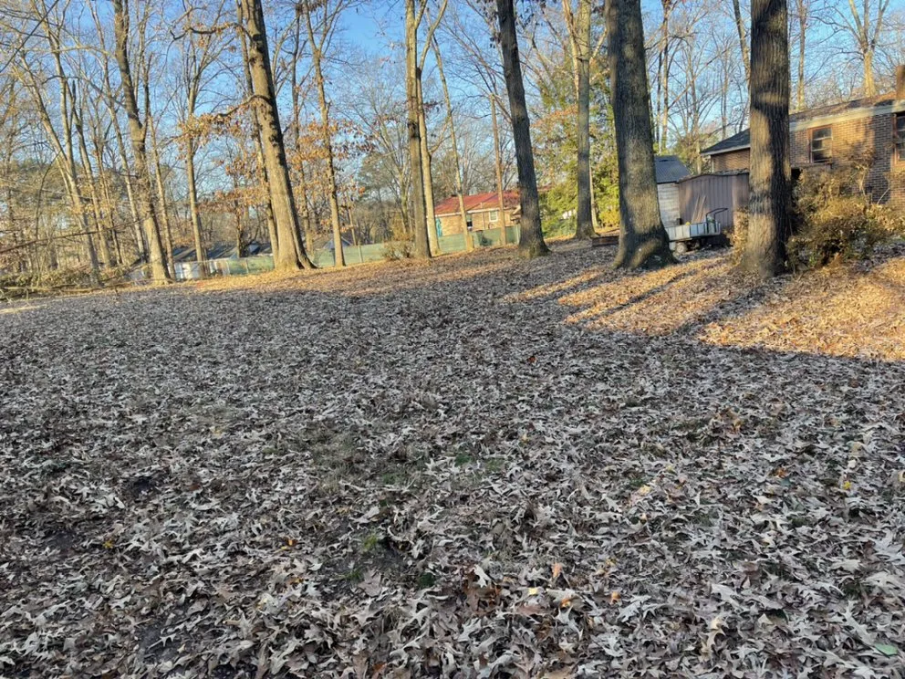 Professional yard maintenance for year-round maintenance in Spartanburg, SC by Campbell’s Removal and Lawncare