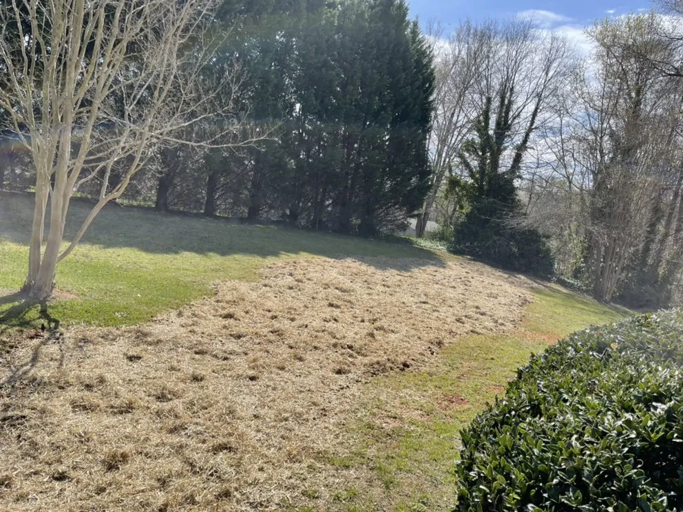 Reliable landscape installation with custom design in Spartanburg, SC by Campbell’s Removal and Lawncare