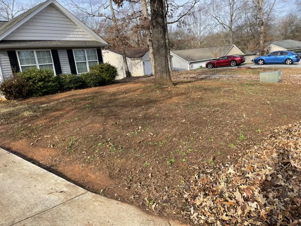 Local landscaping services with custom design in Spartanburg, SC by Campbell’s Removal and Lawncare