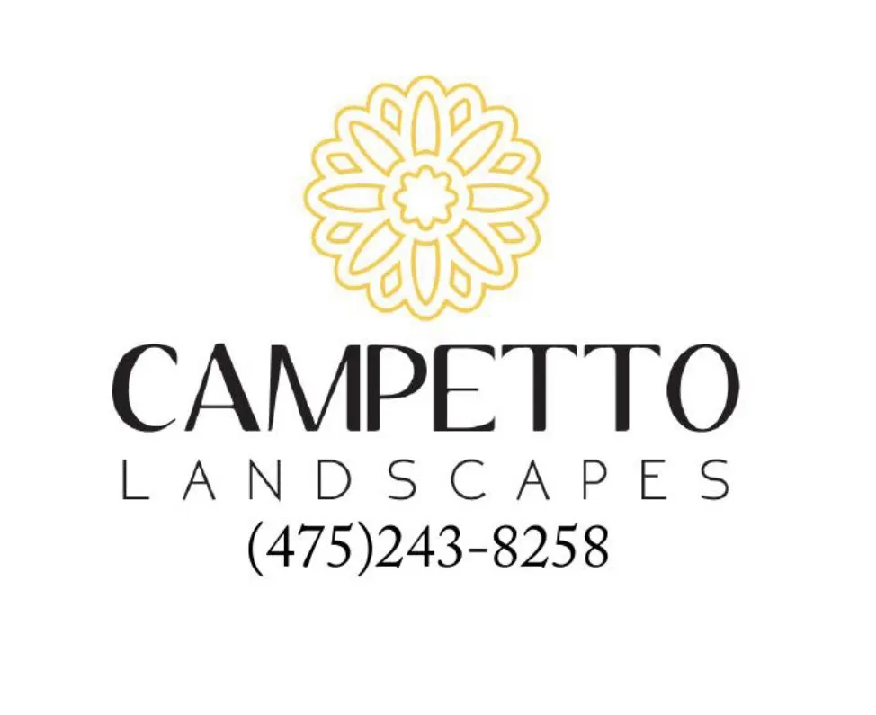 Top-rated residential landscaping for beautiful yards in Oxford, CT by Campetto Landscapes