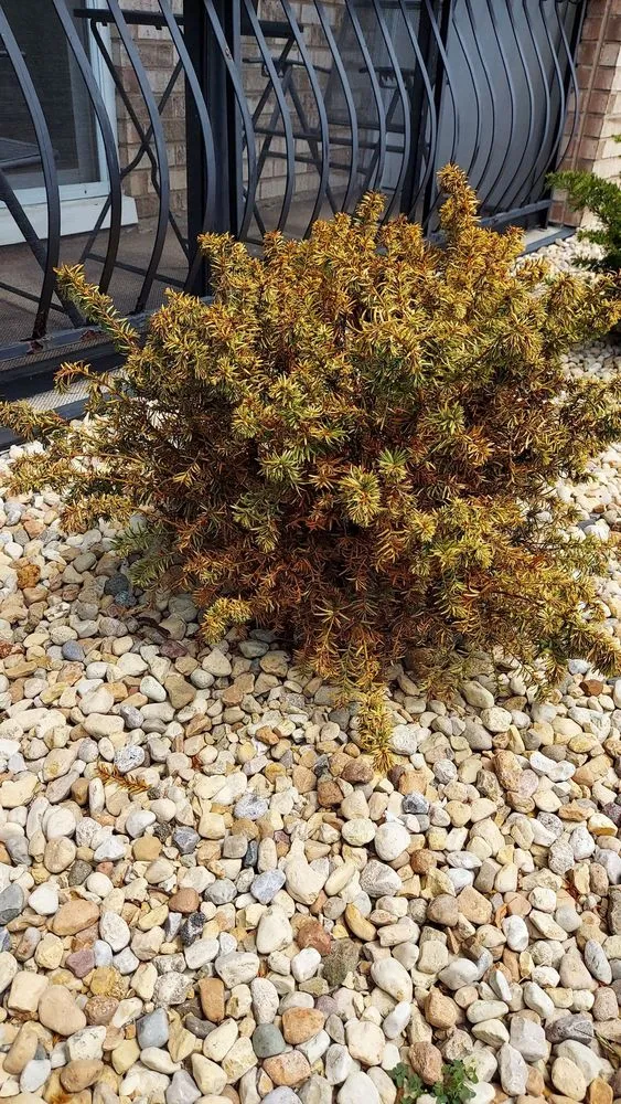 Affordable outdoor landscaping in Orland Park, IL - Camphouse Country Landscaping