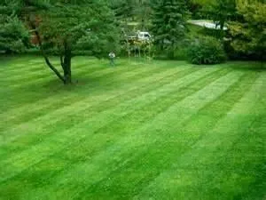 Professional lawn care service for homes in Orland Park, IL by Camphouse Country Landscaping