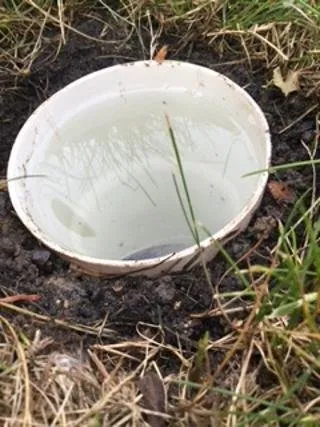 Custom landscaping services for residential properties in Orland Park, IL by Camphouse Country Landscaping