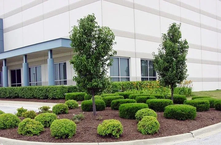 Trusted yard maintenance for beautiful yards in Orland Park, IL by Camphouse Country Landscaping