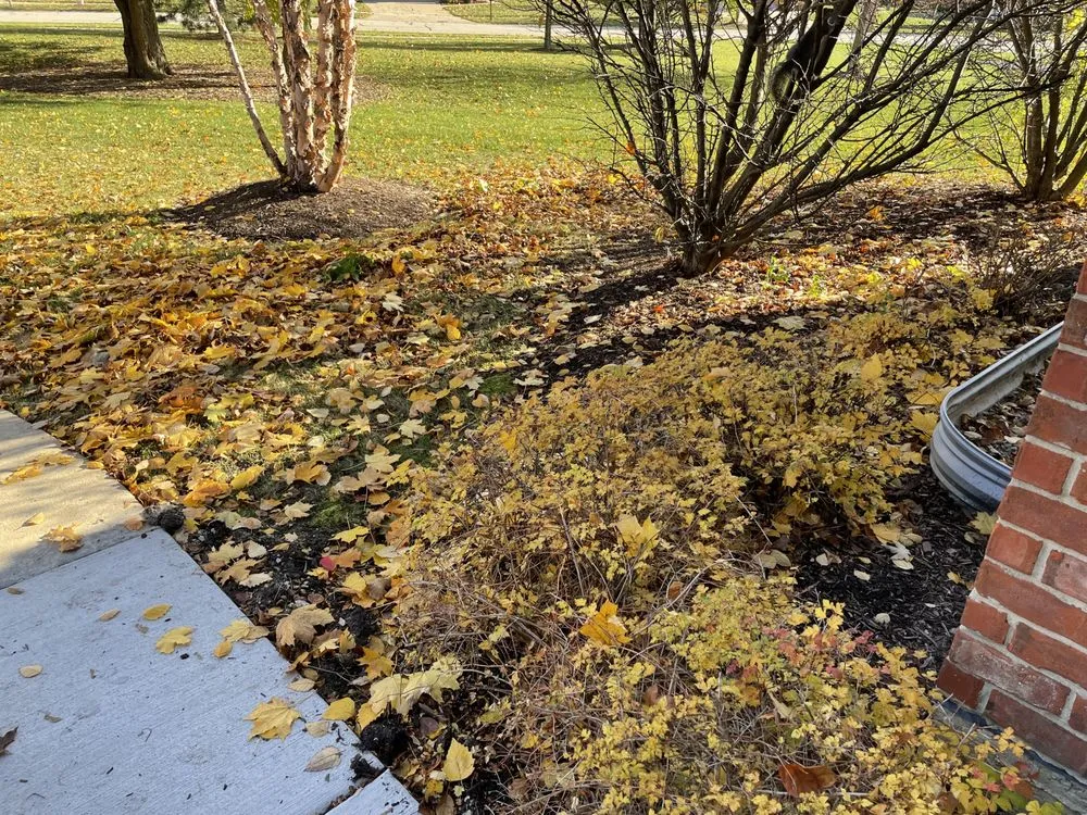 Affordable yard cleanup service near you across Orland Park, IL - Camphouse Country Landscaping