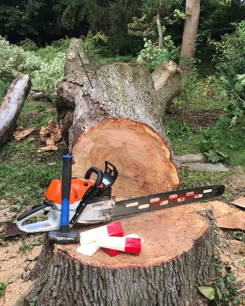 Local yard cleanup service in Independence, MO - Campion Land Management