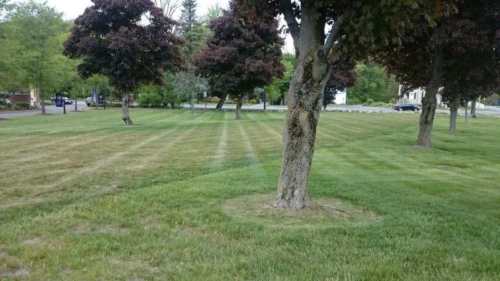 Top-rated outdoor landscaping in Everett, MA - Campos and Son Landscaping